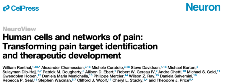 May '21 - Neuron perspective published!